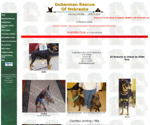 doberescue-ne.org: DOBERMAN RESCUE OF NEBRASKA
Welcome to the Doberman Rescue Unlimited. DRU is an organization that rescues and places doberman pinschers in Nebraska, Iowa, and South Dakota