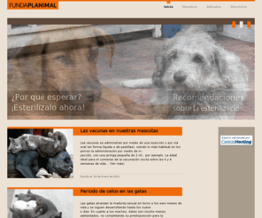 fundaplanimal.com.ve: Fundaplanimal :: Esterilizacion Animal
Fundacion de esterilizacion de mascotas en caracas venezuela