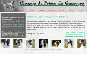 princedegascogne.com: Elevage du Prince de Gascogne, Grand Gascon Saintongeois en Gironde, chien de chasse, chien courant
Elevage canin professionnel en Gironde de Grand Gascon Saintongeois, chien de chasse courant, chien de meute idéal pour le sanglier