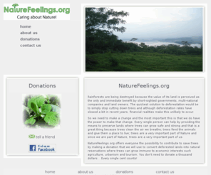 naturefeelings.org: Nature Feelings - Caring About Nature
Nature Feelings is a non-profit organization that struggles against economic interests to convert deforested lands into green forests where trees can grow again and animals can find their home.