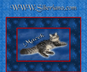 siberiano.com: Siberiano
In questo sito troverai tutto ma proprio tutto sullo splendido gatto siberiano.