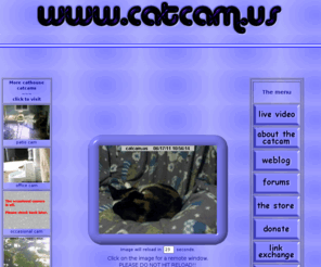 catcam.us: cathouse catcam
a live webcam of the cats at lisaviolet's cathouse.