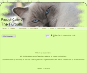 thefurballs.com: Home
Ragdoll Cattery The Furballs. A small cattery in the Netherlands. Health is our first priority.