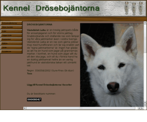 drosebojantorna.com: Västsibirisk Laika - Kennel Drösebojäntorna
Kennel Drösebojäntorna en uppfödare av västsibirisk laika...