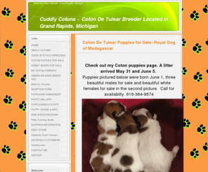 mycuddlycotons.com: HOME - Cuddly Cotons ~ Coton De Tulear Breeder Located in Grand Rapids, Michigan
Coton de Tulear puppies for sale. Rare breed puppies for sale.  Super affectionate, sweet, loving, and very loyal companions.  