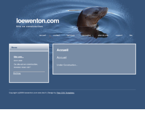 loewenton.com: loewenton.com - Site en construction
