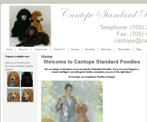 cantope poodles