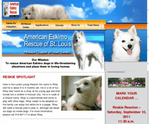 eskierescuestl.org: American Eskimo Rescue St. Louis
