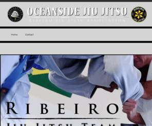 ribeirojiujitsuteam.com: Ribeiro Jiu Jitsu Team | World Class Brazilian Jiu Jitsu & Self Defense
