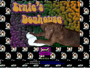 erniesdoghouse.com: Welcome To Big Erns Cyber Dog House
This site is dedicated to my beautiful Chesapeake Bay Retriever Ernie