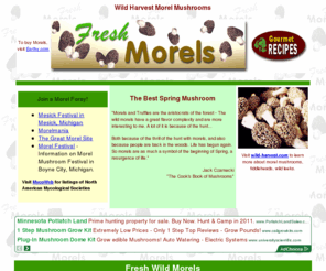 fresh-morel.com: Morel Mushrooms - Fresh from the Forest
Morel Mushrooms with recipes and harvest information