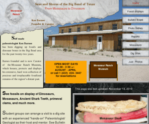 mosasaurranchmuseum.com: Index
Seas and shores of the Big Bend area of Texas, from Mosasaurs to Dinosaurs.