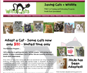 wildcatsqld.com: Home Page
The WildCats program tames, de-sexes and rehomes feral, wild and abandoned cats in South East Queensland