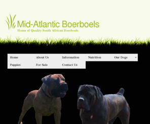 midatlanticboerboels.com: Mid Atlantic Boerboels
