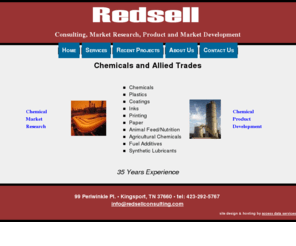 redsellconsulting.com: Redsell Consulting and Market Research
