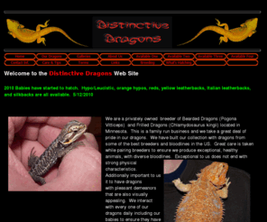 distinctivedragons.com: Distinctive Dragons
Bearded Dragons, for sale, care information