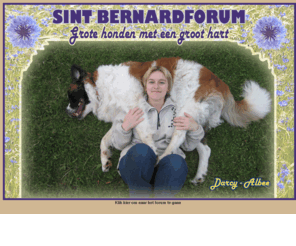 sintbernardforum.com: Sint Bernardforum: voor en door Sint-Bernard liefhebbers
Het forum voor en door Sint-Bernard liefhebbers.