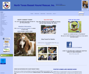 bassetrescuedfw.org: Welcome to North Texas Basset Hound Rescue, Inc.
Welcome to North Texas Basset Hound Rescue, Inc.
