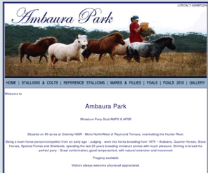 ambaura.com: Miniature Horses and Ponies
Ambaura Park Miniature Horse and Pony Stud, specialising in breeding training and showing Miniature Horses and Miniature Ponies