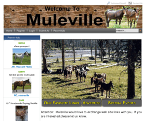 muleville.com: MuleVille - www.MuleVille.com - Your source for the finest mules on the internet.
mules for sale