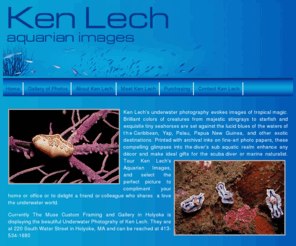 aquarianimages.com: Ken Lech, underwater photography
Ken Lechs Aquarian Images displays fine art underwater photographs of marine animals and tropical fish.