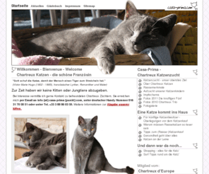 casa-prima.com: Chartreux Katzenzucht - Erleben Sie Ihr blaues Wunder
chartreux katzen - die schöne französin