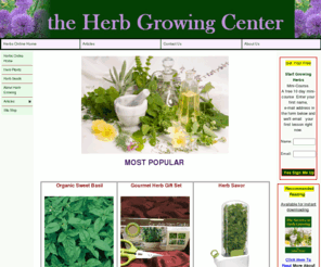 herbgrowingcenter.com: Herbs Online Home
The place to buy herbs online. Herb plants and herb seeds are available at the Herb Growing Center. Offering organic herbs to buy as well as advice.