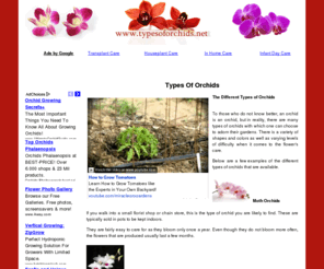 typesoforchids.net: Types Of Orchids | Orchid Types
The different types of orchids. To those who do not know better, an orchid is an orchid, but in reality, there are many types of orchids with which one can choose to adorn their gardens. There is a variety of shapes and colors as well as varying levels of difficulty when it comes to the flower's care. Below are a few examples of the different types of orchids that are available. Moth Orchids. If you walk into a small florist shop or chain store, this is the type of orchid you are likely to find.