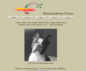 phoeniciabostons.com: Phoenicia Bostons
Exhibitor of AKC Boston terriers