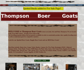 thompsonboergoats.com: Thompson Boer Goats
Thompson Boer Goats located in the Texas Hill Country We produce Full Blood Boer Goats including Correct Boer Goats, Red Boer Goats, Spotted Boer Goats and Dapple Boer Goats, CODI/PCI, Buck Shot, Warrior, Collateral Damage, Texas Hill Counrty Boer Goats