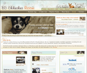 chirescue.com: Chihuahua Rescue - British Columbia (BC), Canada - Small Dog Rescue, Transport and Referral
Chihuahua Rescue (BC Chihuahua Rescue), www.chirescue.org, BCCR is a breed rescue group dedicated to rescuing homeless, abused, neglected and abandoned Chihuahuas.  We provide all necessary veterinary treatment and place them in foster homes until they are adopted into forever homes.