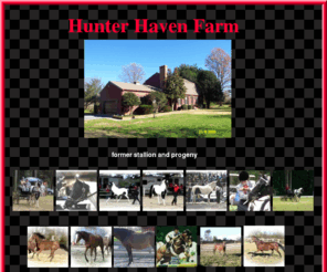 hunterhavenfarm.com: Home
Sport Pony Breeder site specializing in the production of correct, colorful sport ponies.