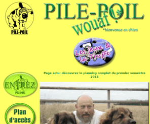 pilepoil.fr: index
présentation des activités d'education canine et pension de la société pile-poil, Antonio Ruiz