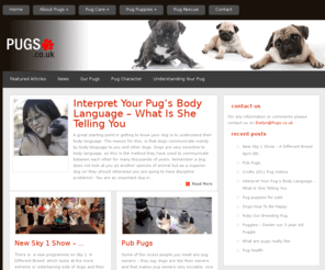 pugs.co.uk: Pugs.co.uk | information and guide for all pug lovers. Pug puppies for sale
This website offers useful information about pugs, their character and care. Pug puppies for sale. Accredited breeder. Kennel club registered.