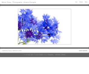 adigrosu.com: Adrian Grosu - Photographer | Graphic Designer - Centaurea Cyanus
Adrian Grosu - Photographer | Graphic Designer-PhotoBlog: Centaurea Cyanus, 
