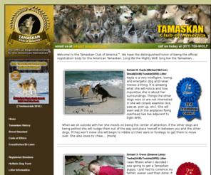 tamaskan.com: The Tamaskan Club of America™ | Home | Puppies for Sale | Tamaskan
The Tamaskan Club of America™ is the Official Registration Body of the Tamaskan Wolfdog