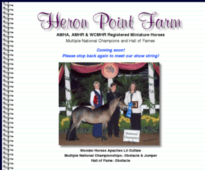 heronpointfarm.biz: Heron Point Farm - National Champion Miniature Horses
