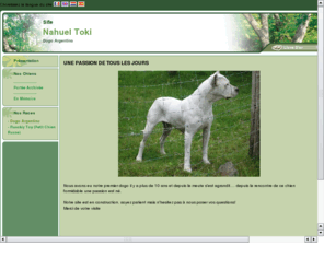 nahueltoki.com: Elevage Nahuel Toki
Dogo argentino, dogue argentin, petit chien russe, russkiy toy