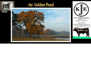 ourgoldenpond.com: Our Golden Pond
Our Golden Pond