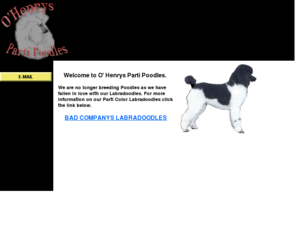 partipoodle4u.com: poodle breeder miniature poodles for sale puppies parti poodle PA pennsylvania
poodle breeder minature grosse Pennsylvania parti phantom black white O'Henrys Parti Poodles