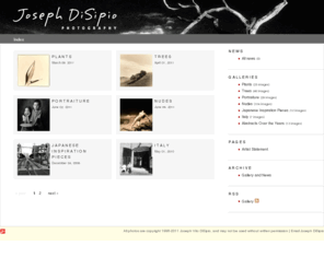 josephdisipio.com: Joseph DiSipio Photography
Fine art photographer Joseph DiSipio shoots only b/w film--mainly Tri-X and Infrared--in 35mm and 120 formats. He prints and processes his own work, and most recently has been doing Lith Printing.