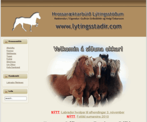 lytingsstadir.com: Velkomin!
Hrossarækt á Lýtingsstöðum í Holta- og Landsveit, Rangárvallasýslu. Icelandic horse breeding in South Iceland.