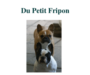 dupetitfripon.net: Start
