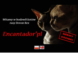 encantador.info: Encantador *PL
Encantador *PL - devon rex cattery