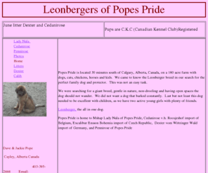 leonbergersofpopespride.com: index.html
Leonbergers of Popes Pride is located 20 min. south of Calgary Alberta Canada, Champion de France,Belgique,International,Luxembourg VEGAS DU MONT KAILASA is sire to our Cedanirose v.h. Roosjeshof,Popes Pride welcomes visitors, Calgary Int. Airport is only 40 min. 