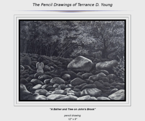 adirondackdrawings.com: Pencil drawings and art Gallery of Terrance Young
Gallery of Pencil Drawings by Terrance D Young of the Adirondack Mountains