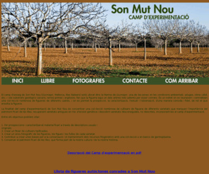 sonmutnou.com: Camp d'experimentació de Son Mut Nou - Llucmajor - Mallorca
