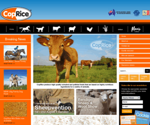 ricewood.com: Home
CopRice produce high quality extruded and pelleted feeds that are based on highly nutritious ingredients for a variety of animals.