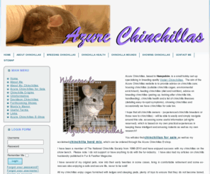 azure-chinchillas.co.uk: Azure Chinchillas
Azure Chinchillas, based in Hampshire, is a small hobby set-up specialising in breeding quality Violet Chinchillas.  The aim of the Azure Chinchillas website is to provide a guide on basic chinchilla keeping; housing chinchillas (suitable chinchilla cages, environmental enrichment), feeding chinchillas (diet and nutrition), breeding chinchillas (pairing up, looking after chinchilla kits, handfeeding), chinchilla diseases and illnesses (with a list of easy-to-spot symptoms), showing chinchillas and occasionally we have chinchillas for sale too.