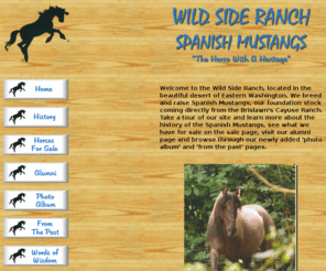 wildsideranch.com: Wild Side Ranch
Wild Side Ranch - Spanish Mustangs.